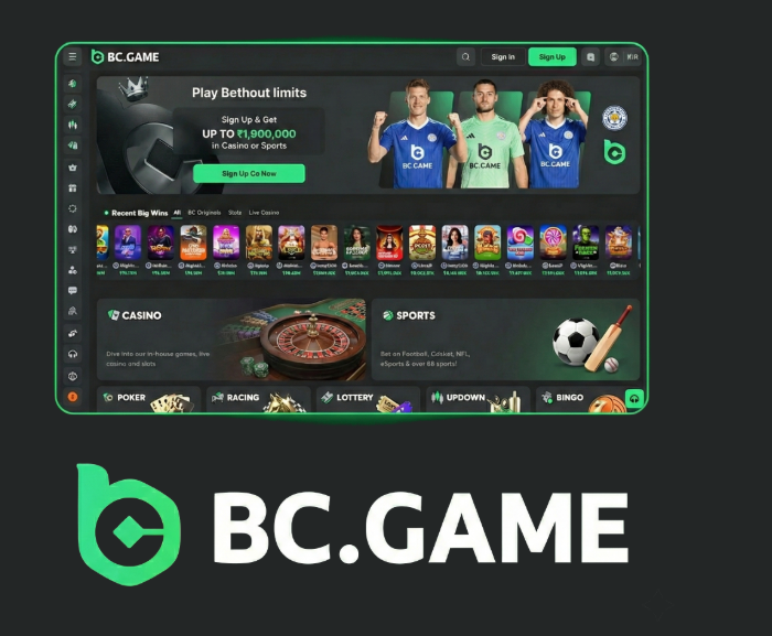 Unlocking the BC.Game Login Experience Unlocking the BC.Game Login Experience